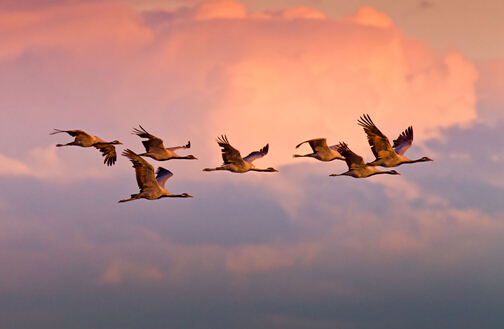 永信贵宾会-欢迎您