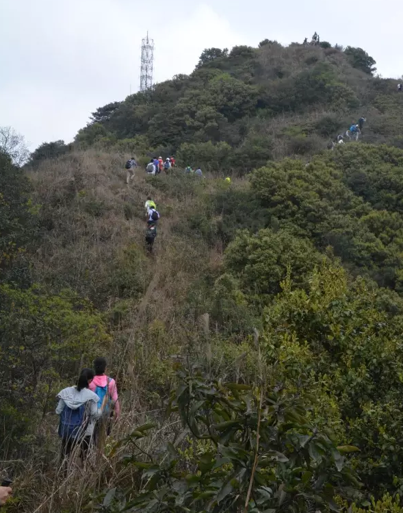 永信贵宾会-欢迎您