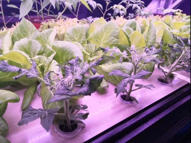 永信贵宾会-欢迎您